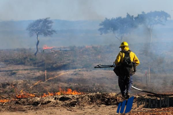 气候变化限制了控制燃烧在预防野火中的应用