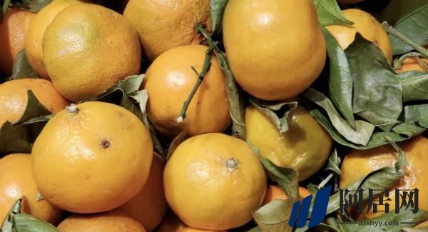 美国上诉法院裁定EPA批准人类抗生素作为柑橘类杀虫剂是非法的